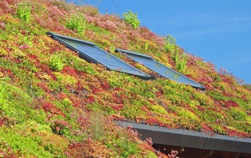 Seabrook living roof systems